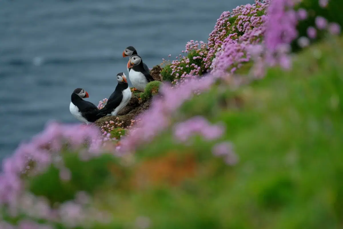 Planet Explorer 9, Scotland - Day 5 (11)