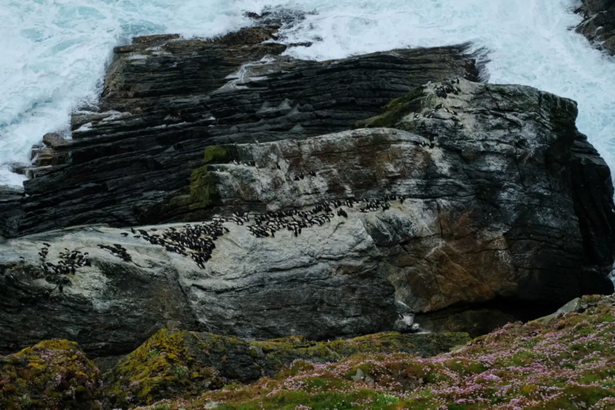 Planet Explorer 9, Scotland - Day 5 (16)