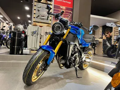 Yamaha XSR 900 (2022 - 24) nuova