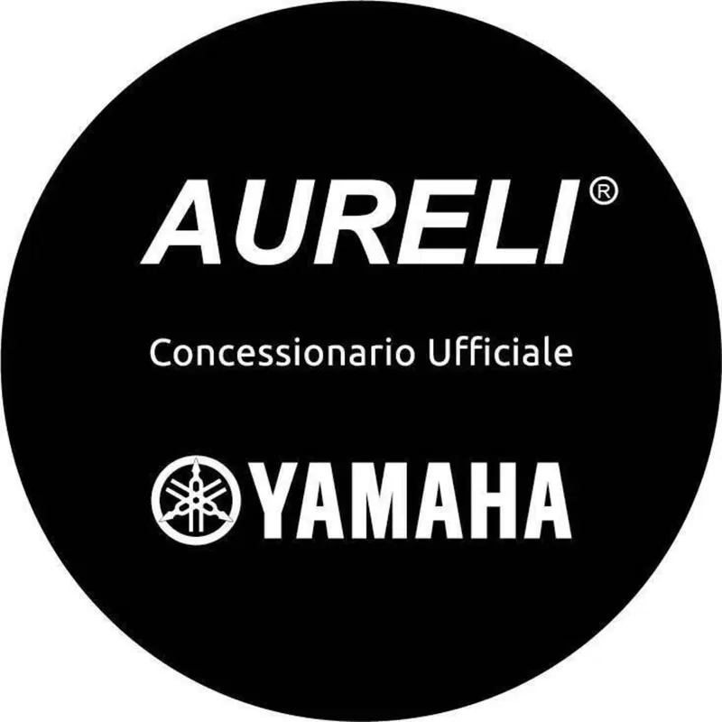 Yamaha XSR 900 (2022 - 24) (8)