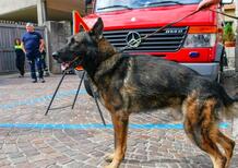 Tavernerio, uomo azzannato da due cani lupo mentre guidava lo scooter