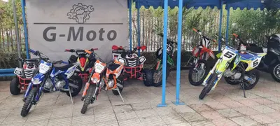  Altre moto o tipologie Pitbike nuova