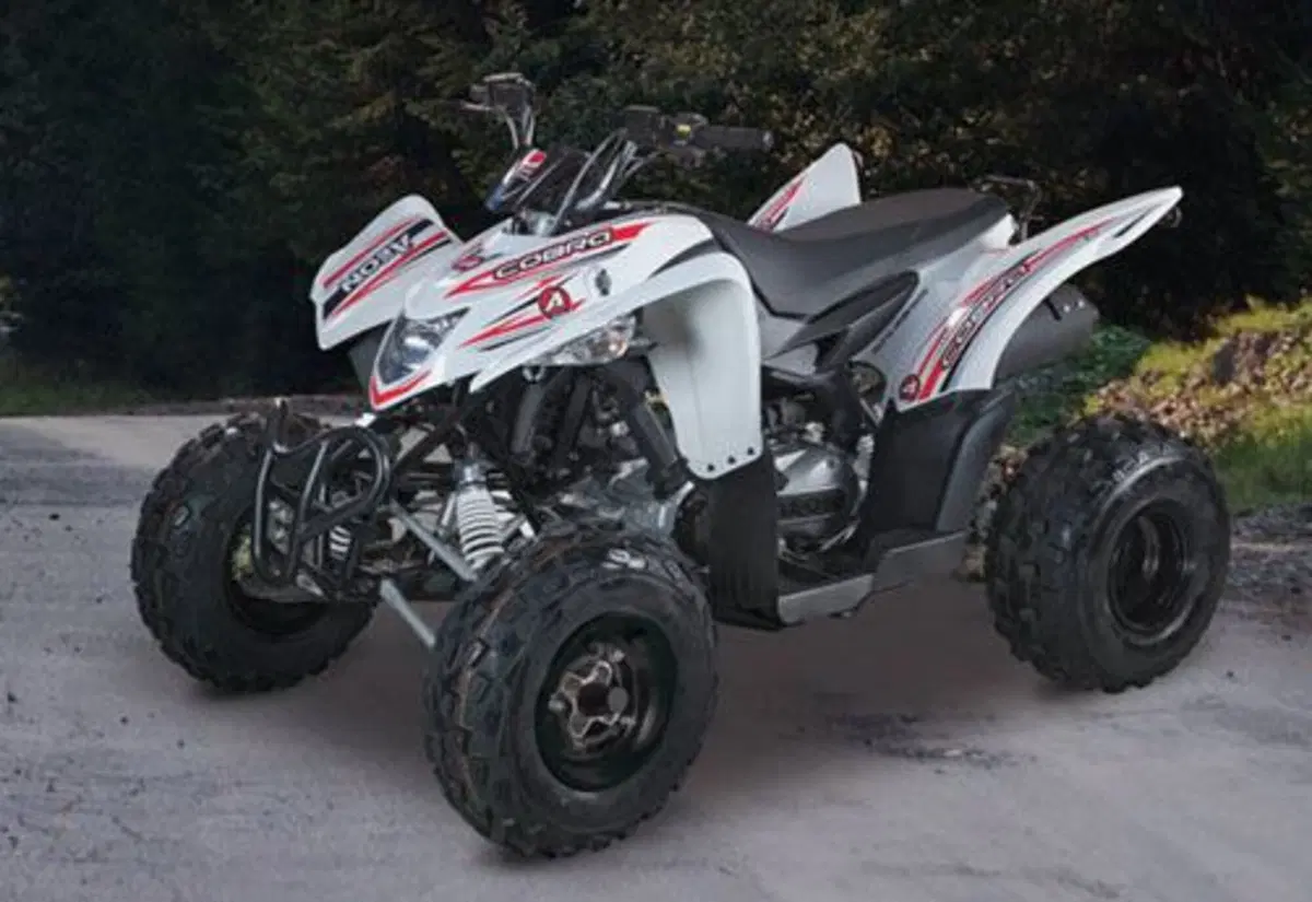 Aeon Cobra S Cobra S (2014 - 15) (2)