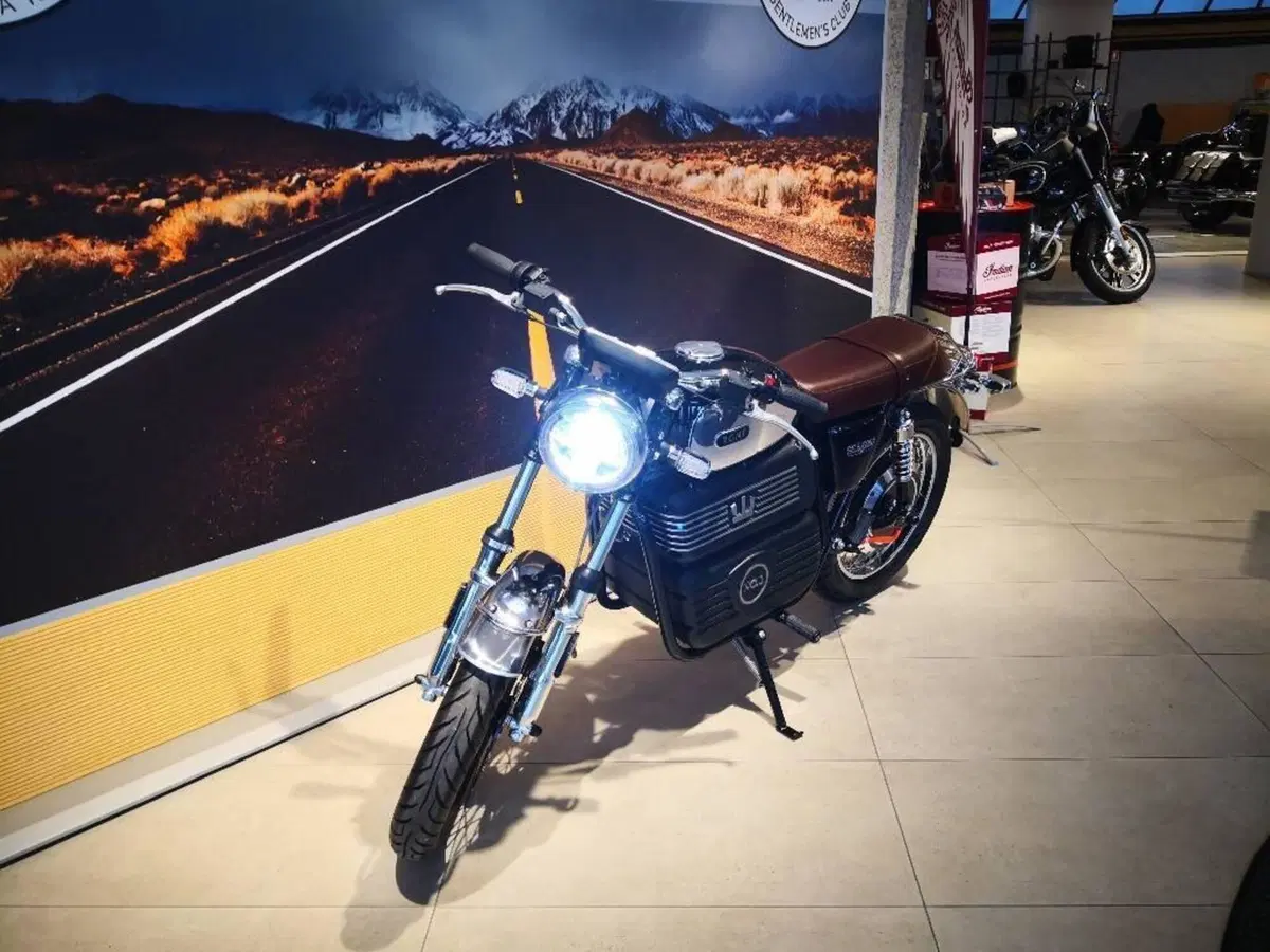 RGNT Motorcycles No.1 Classic SEL (2023 - 24) (11)