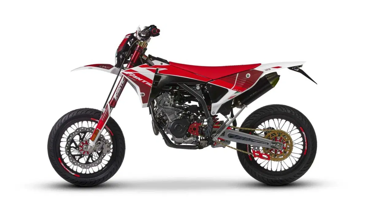 Fantic Motor XMF 125 XMF 125 Motard Competition 4T (2023 - 24) (6)