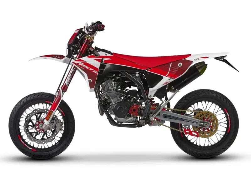 Fantic Motor XMF 125 XMF 125 Motard Competition 4T (2023 - 24) (6)