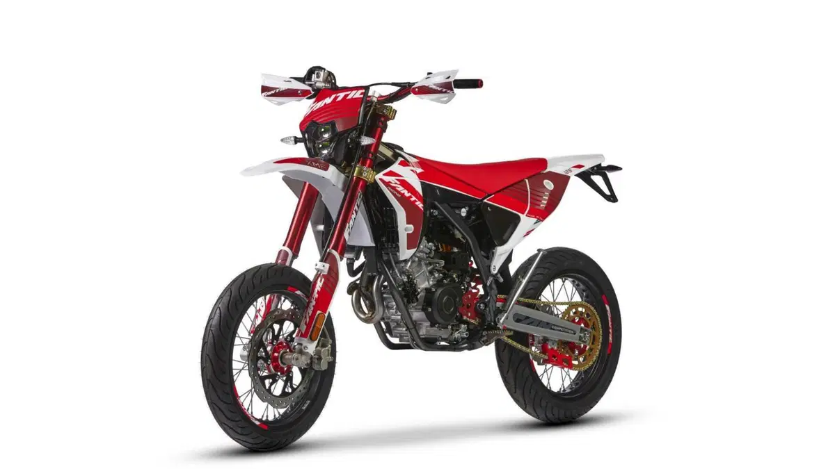 Fantic Motor XMF 125 XMF 125 Motard Competition 4T (2023 - 24) (2)