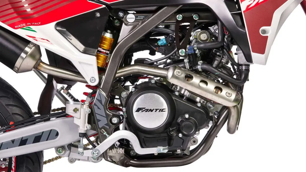 Fantic Motor XMF 125 XMF 125 Motard Competition 4T (2023 - 24) (18)