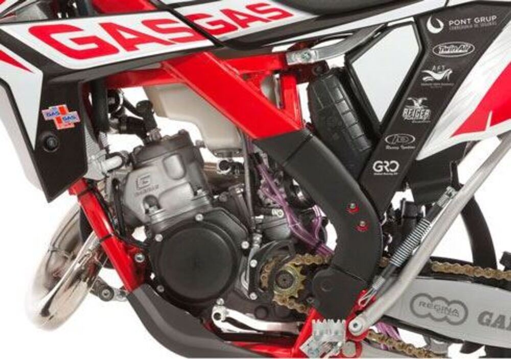 GASGAS EC 250 H Racing AE (2015) (5)