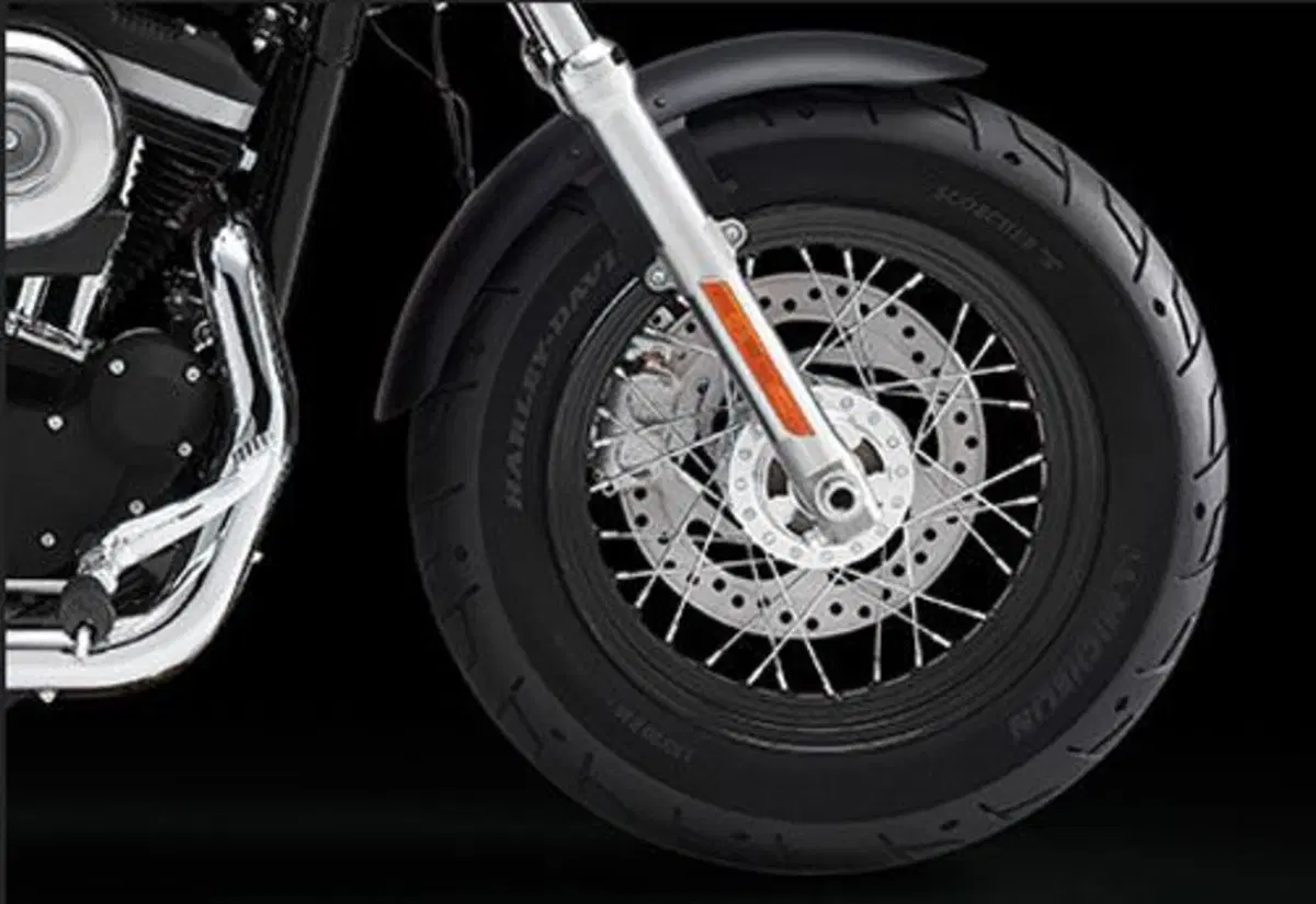 Harley-Davidson Sportster 1200 Custom CB (2013 - 17) - XL 1200CB (2)