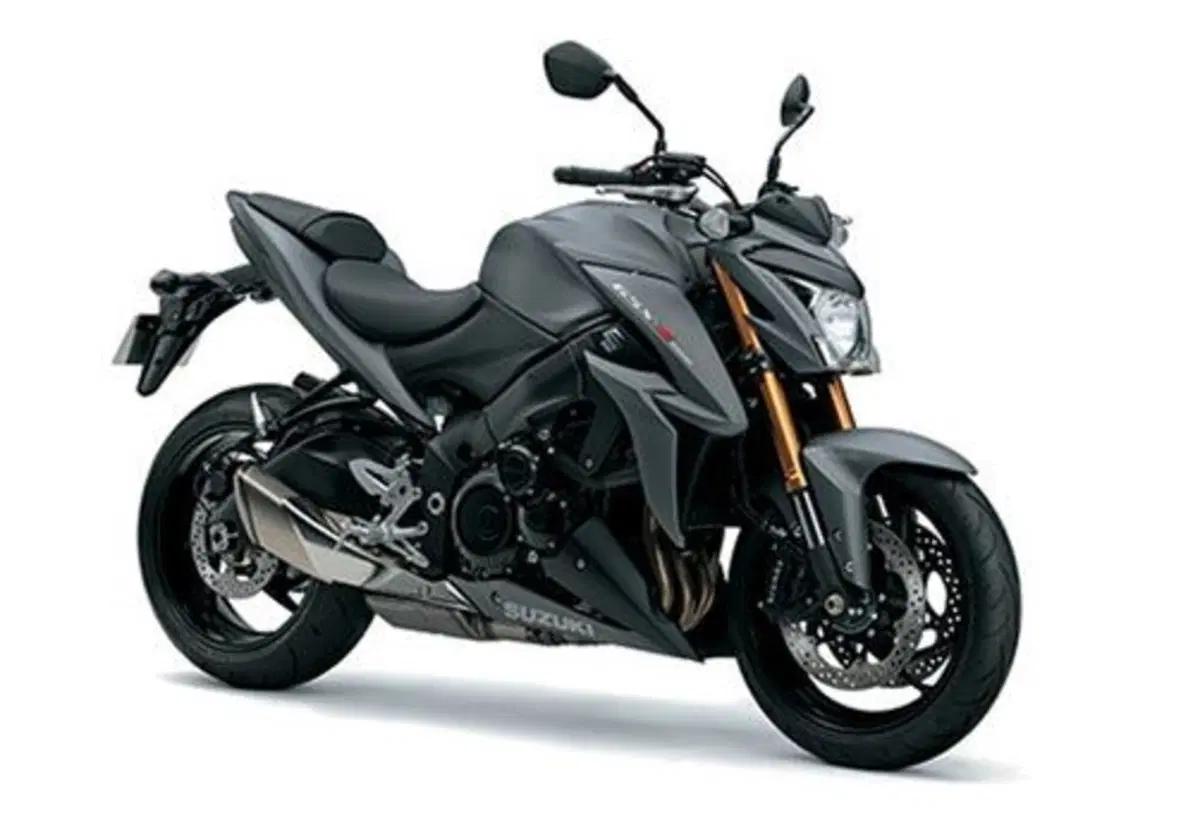 Suzuki GSX-S1000 GSX-S1000 ABS (2015 - 17) (3)