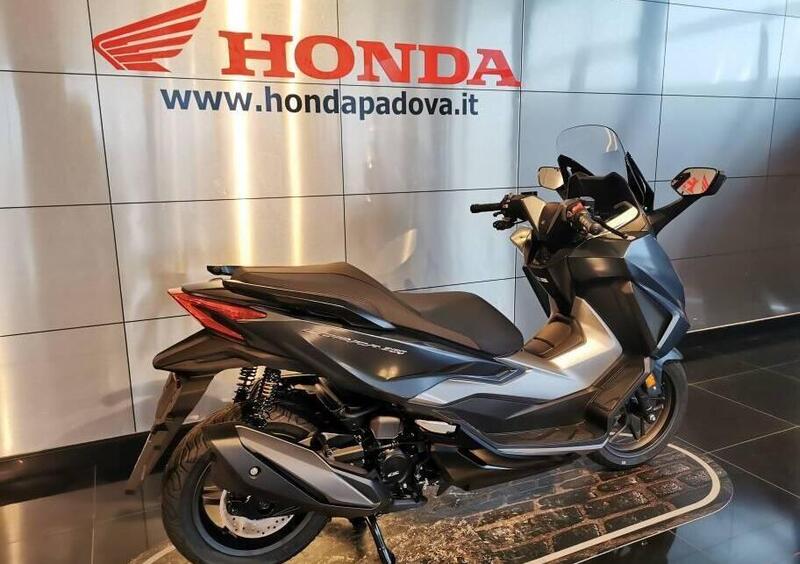 Vendo Honda Forza 350 (2023 - 24) nuova a Cadoneghe (codice 9087546) 