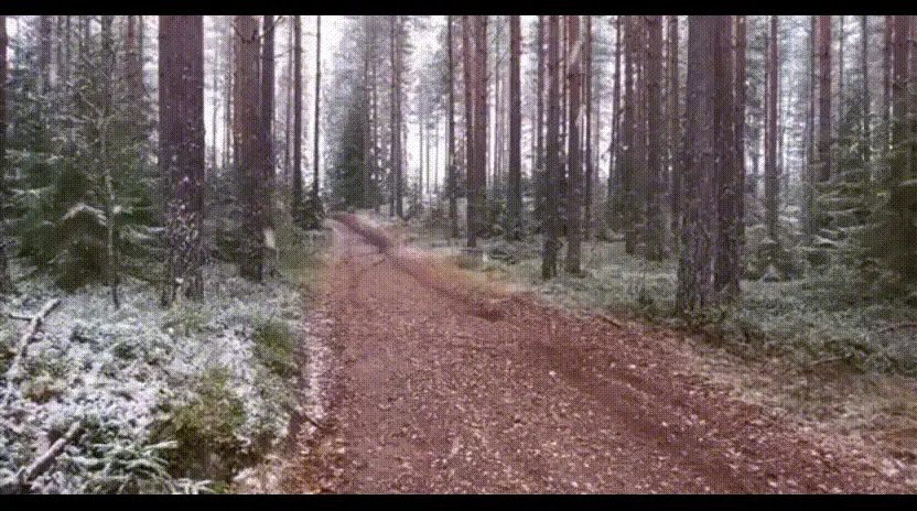 Facile fare enduro quando non nevica... [VIDEO VIRALE]
