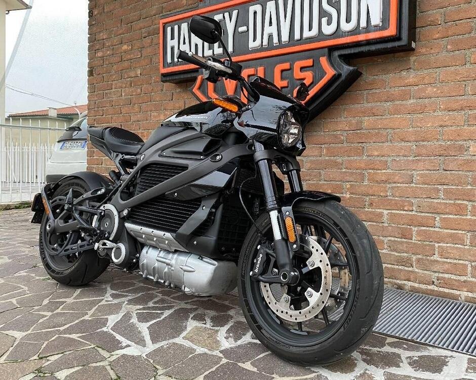 Harley-Davidson LiveWire (2019 - 22) (2)