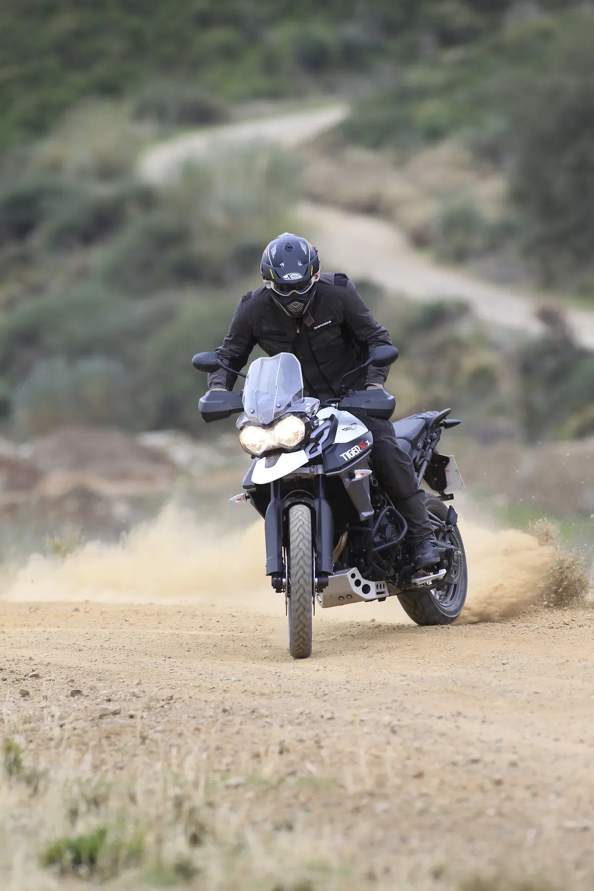 Triumph Tiger 800 XC (8)