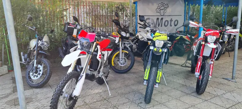 Fantic Motor XM 50 Competition (2023 - 24)