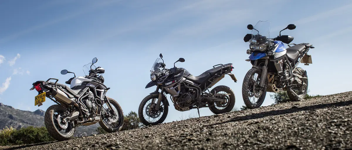 Triumph Tiger 800 XC (12)