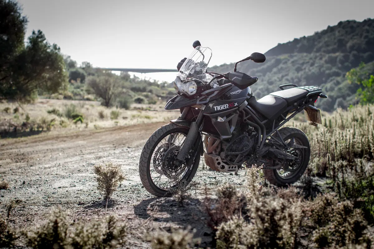 Triumph Tiger 800 XC (15)