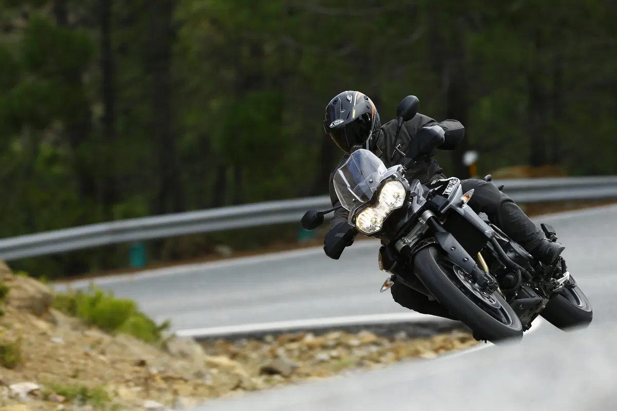 Triumph Tiger 800 XR  (7)