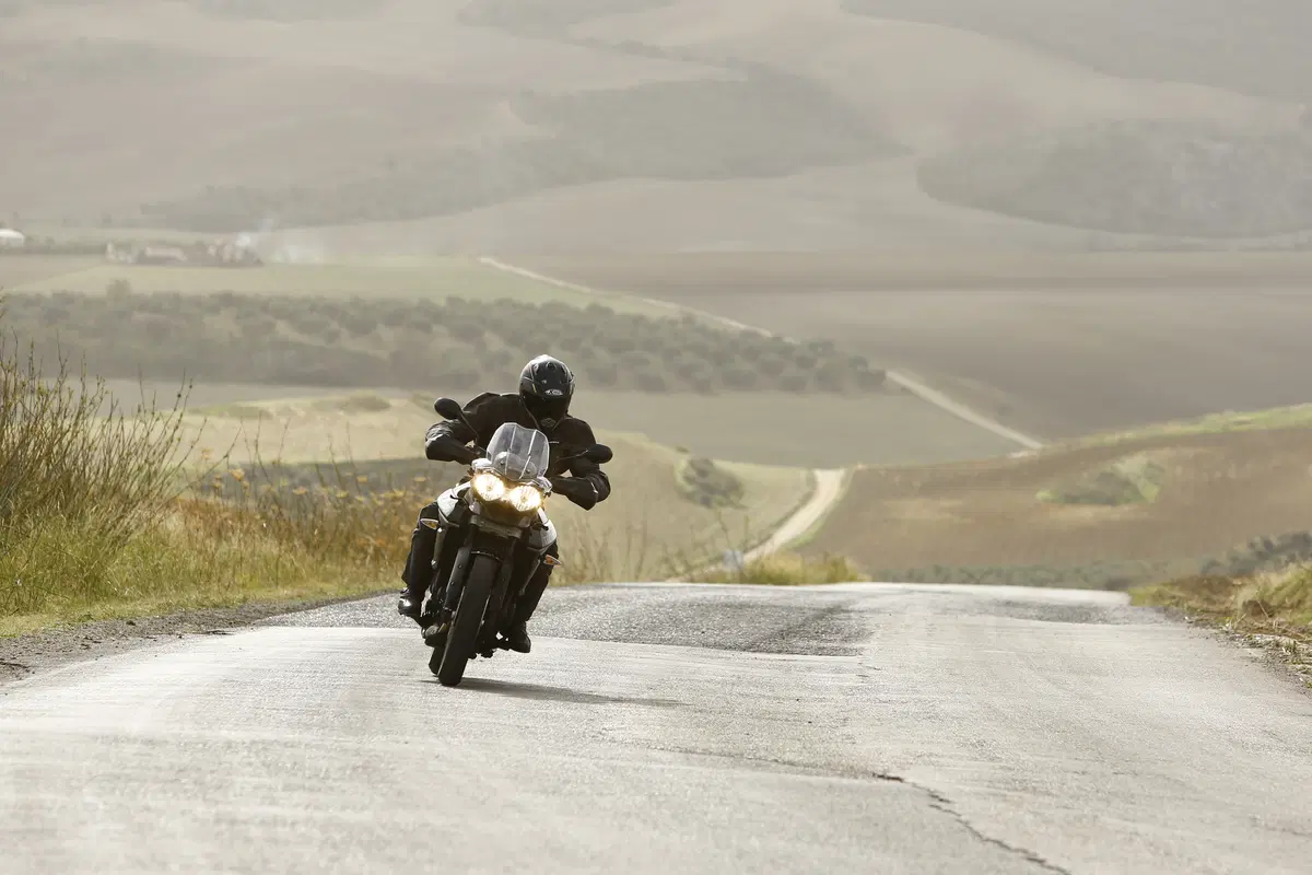Triumph Tiger 800 XR  (12)