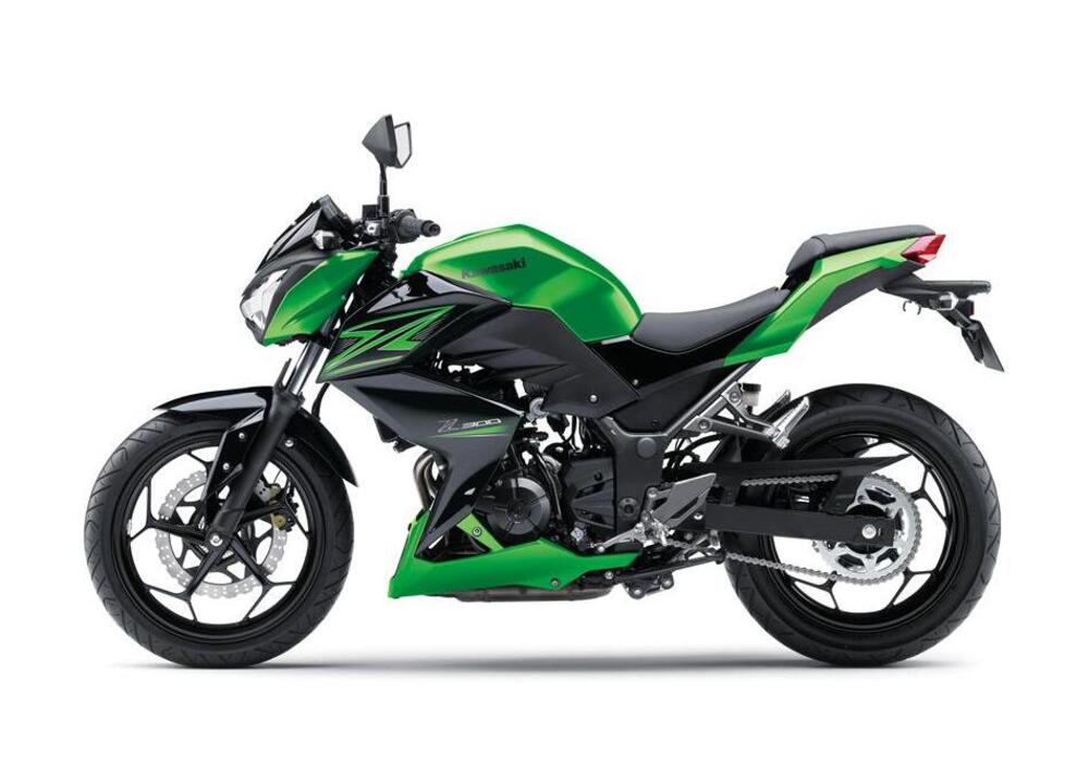 Kawasaki Z 300 (2015) (2)