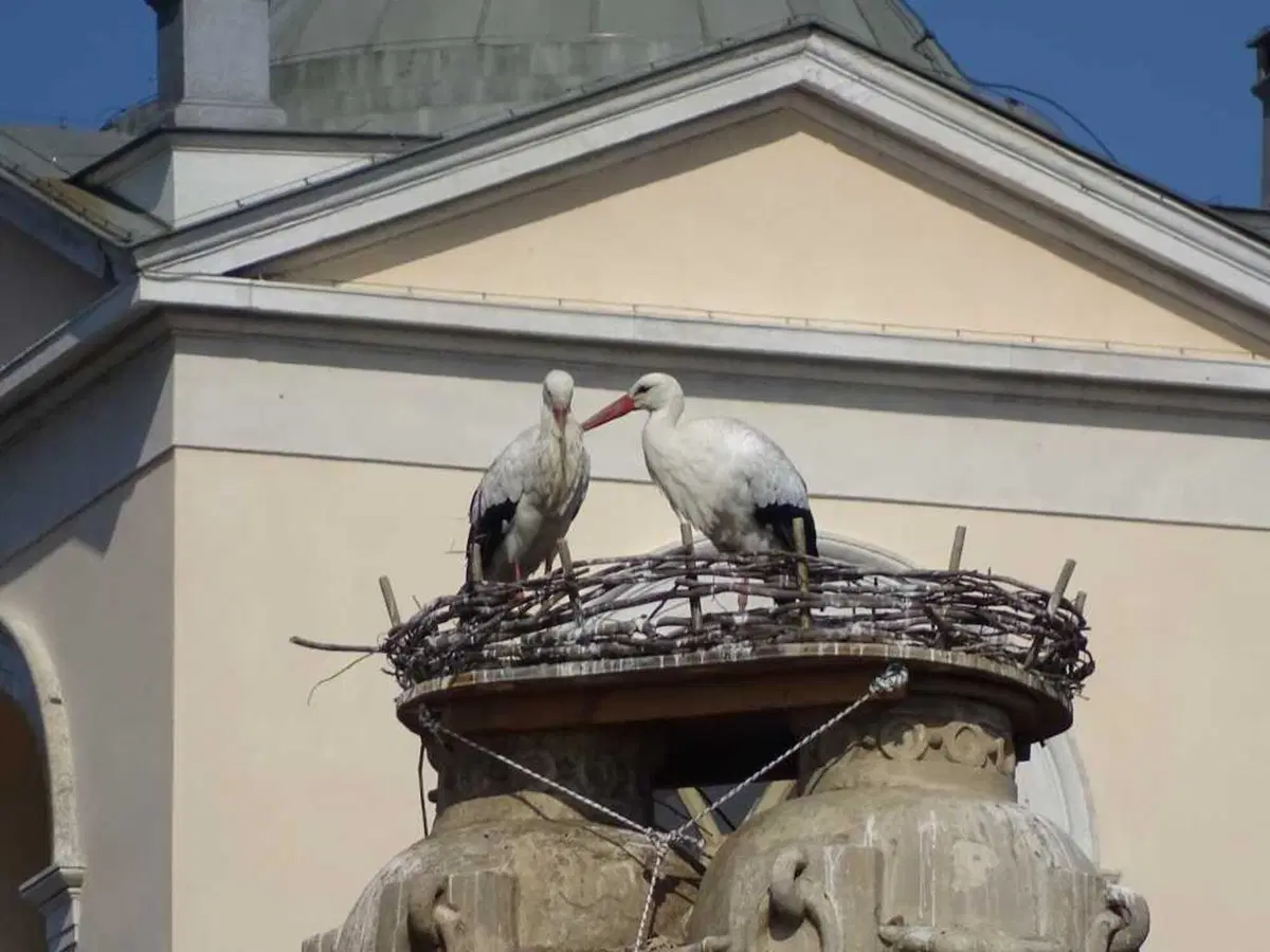 I viaggi dei lettori: Volo Libero (11)