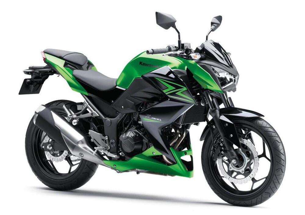 Kawasaki Z 300 (2015)