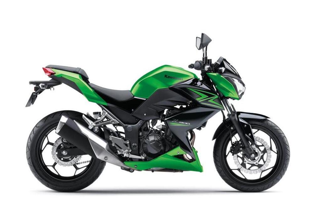 Kawasaki Z 300 (2015) (3)