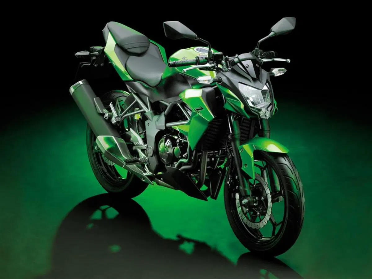 Kawasaki Z 250 SL Z 250 SL (2015 - 16) (7)