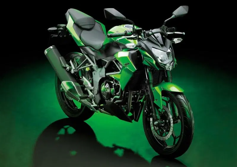 Kawasaki Z 250 SL Z 250 SL (2015 - 16) (7)