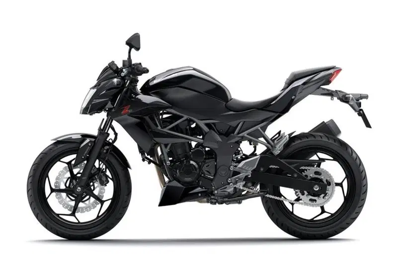 Kawasaki Z 250 SL Z 250 SL (2015 - 16) (2)