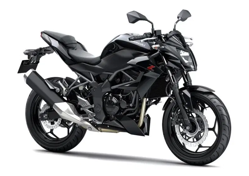 Kawasaki Z 250 SL Z 250 SL (2015 - 16)