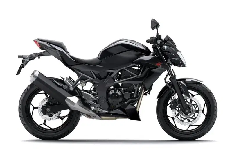 Kawasaki Z 250 SL Z 250 SL (2015 - 16) (3)