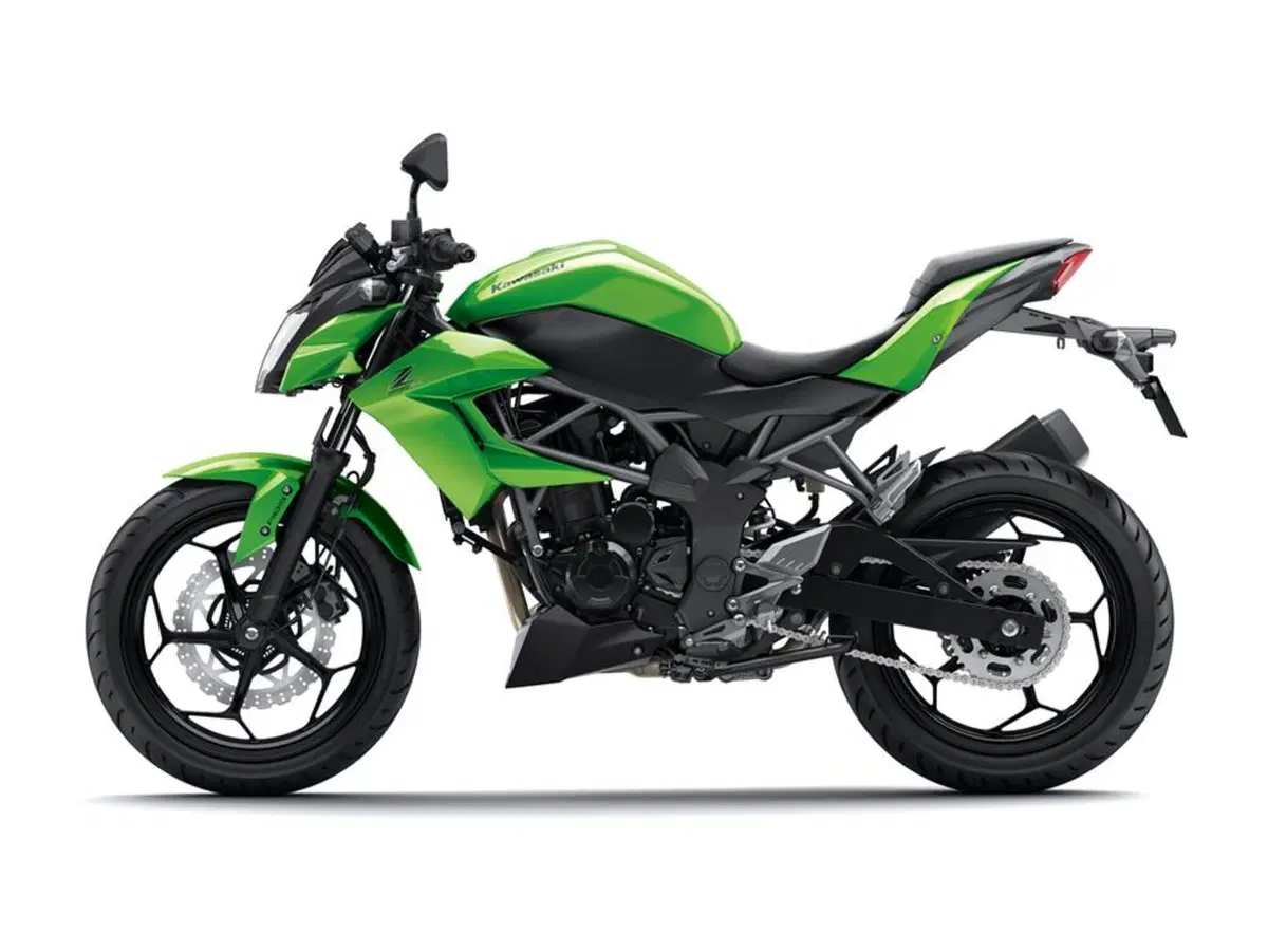 Kawasaki Z 250 SL Z 250 SL (2015 - 16) (5)