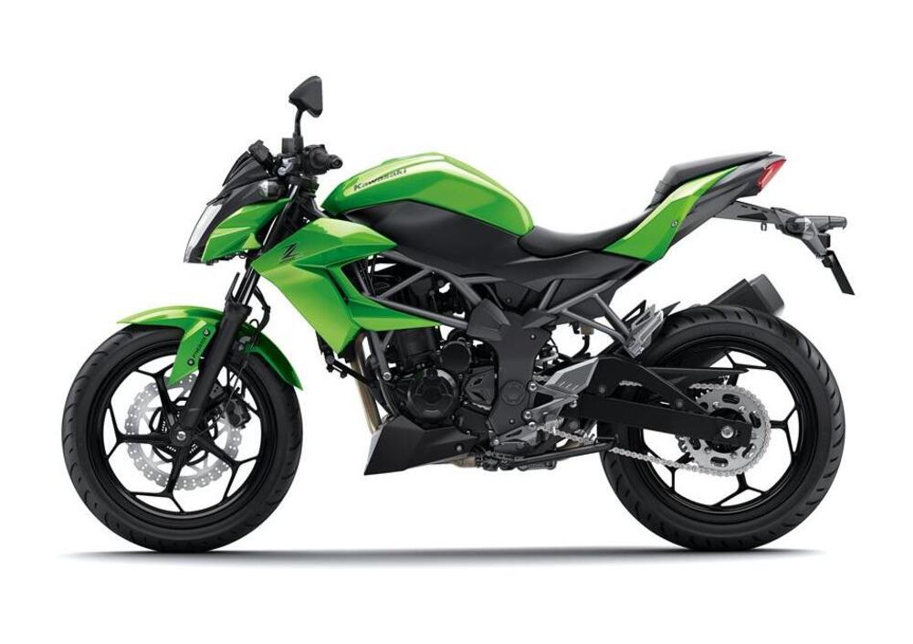 Kawasaki Z 250 SL (2015 - 16) (5)