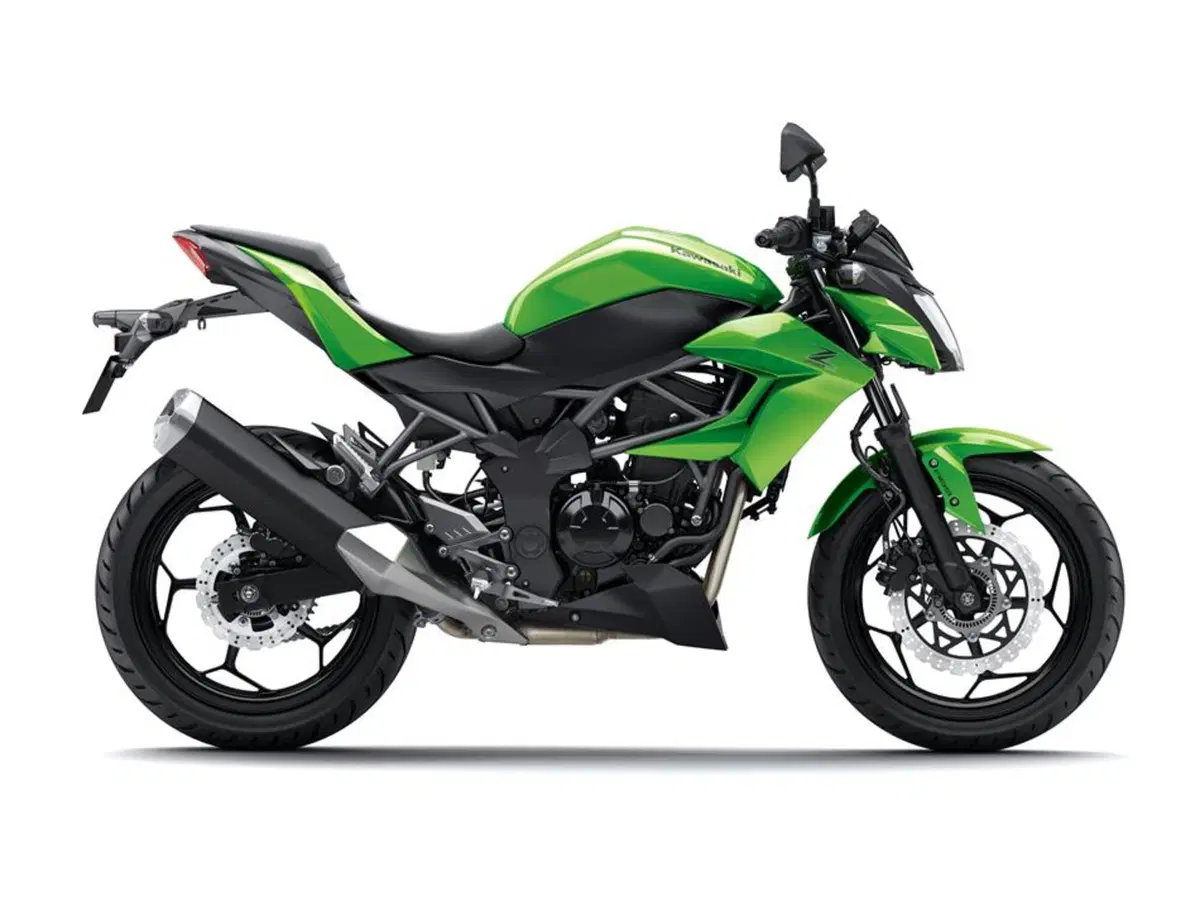 Kawasaki Z 250 SL Z 250 SL (2015 - 16) (6)