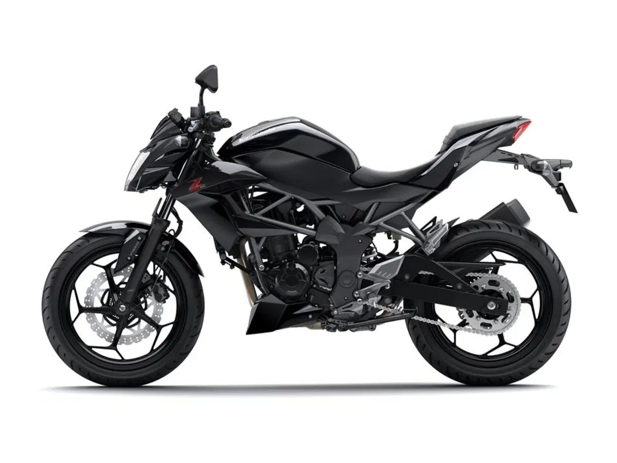Kawasaki Z 250 SL Z 250 SL ABS (2015 - 16) (2)
