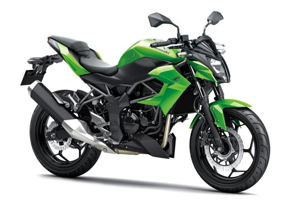 Kawasaki Z 250 SL ABS (2015 - 16) (4)