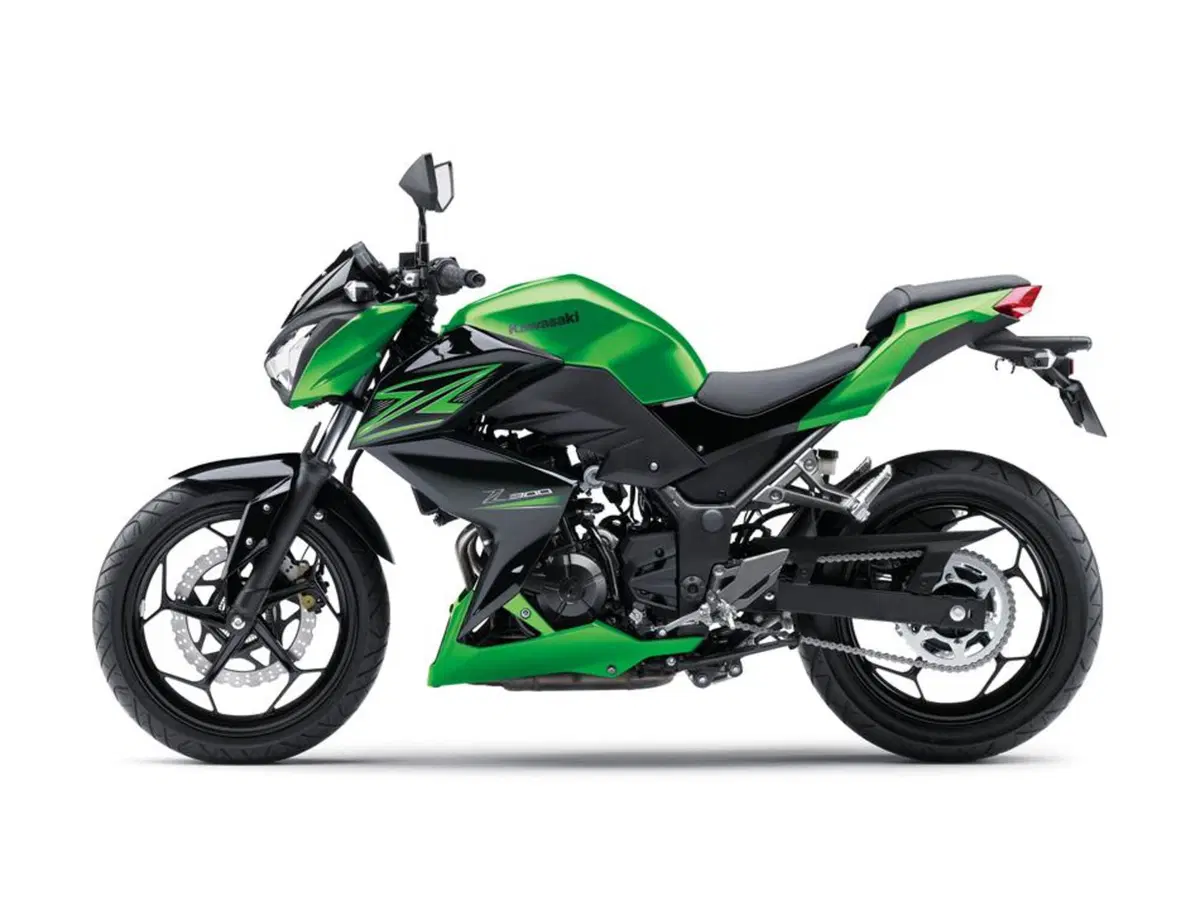 Kawasaki Z 300 Z 300 ABS (2015 - 16) (3)