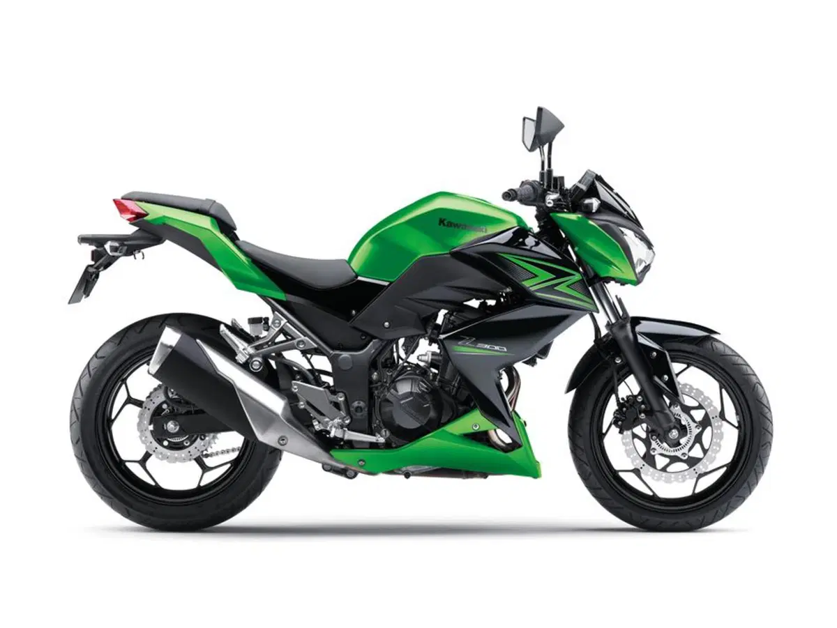 Kawasaki Z 300 Z 300 ABS (2015 - 16) (4)