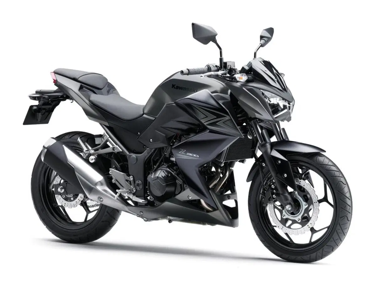 Kawasaki Z 300 ABS (2015 - 16)