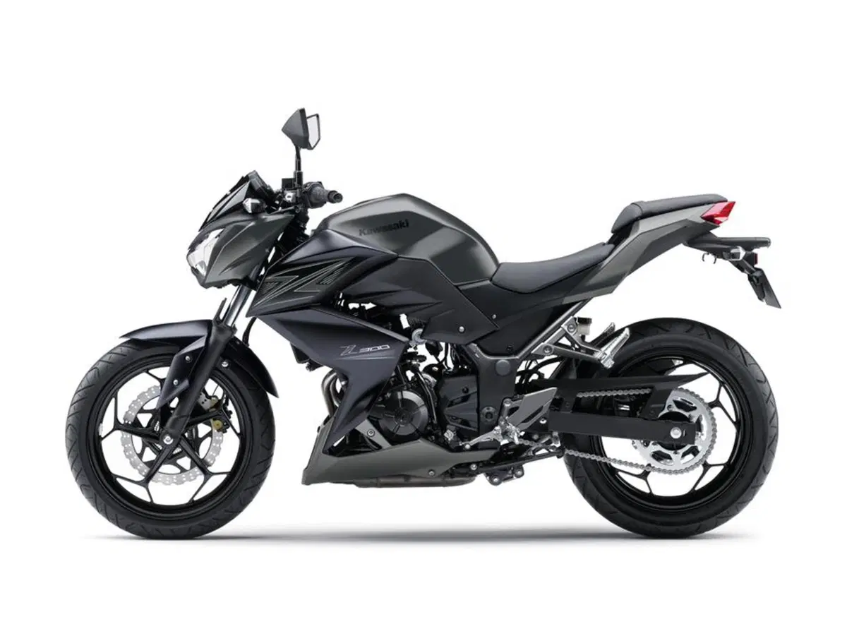 Kawasaki Z 300 Z 300 ABS (2015 - 16) (5)