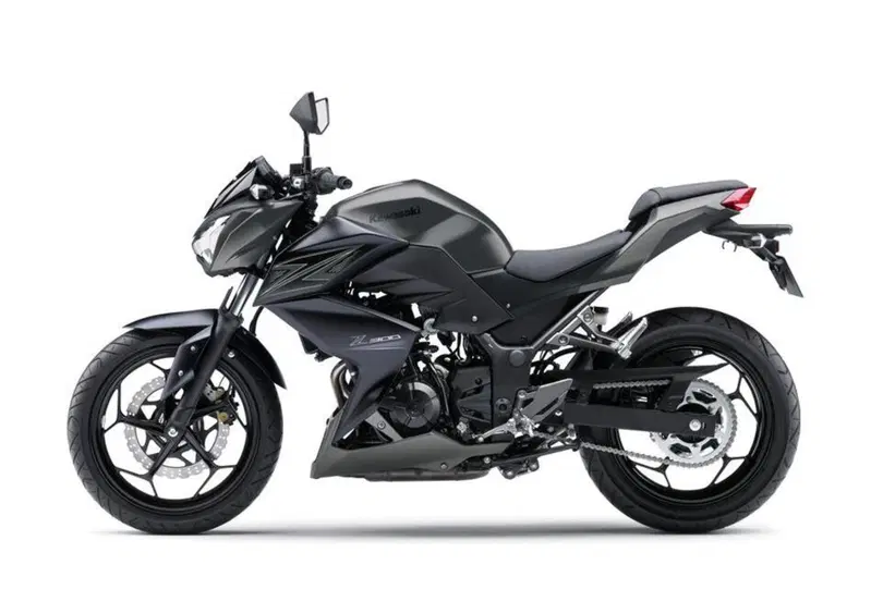 Kawasaki Z 300 Z 300 ABS (2015 - 16) (5)