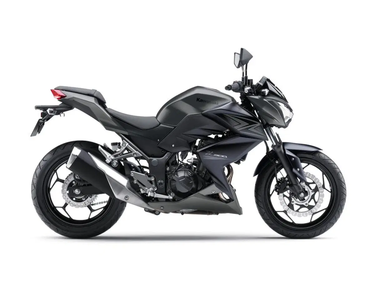 Kawasaki Z 300 Z 300 ABS (2015 - 16) (6)