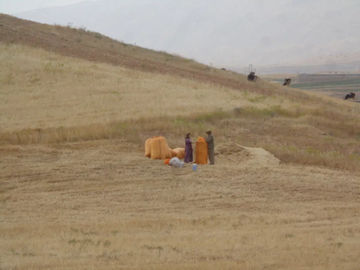 Viaggi in moto: l'Iran (13)