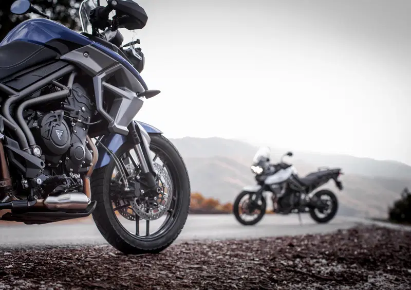 Triumph Tiger 800 Tiger 800 XRx (2015 - 17) (14)