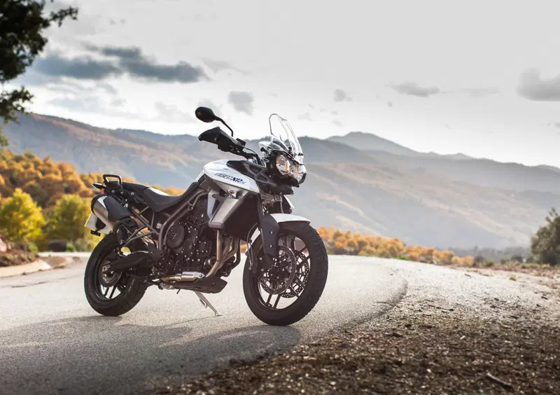 Triumph Tiger 800 Tiger 800 XRx (2015 - 17) (18)