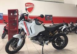 Ducati DesertX (2022 - 24) nuova