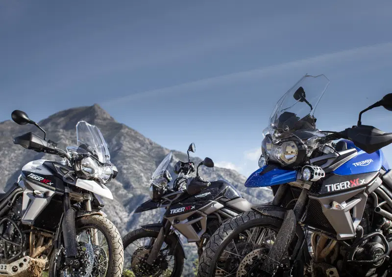 Triumph Tiger 800 Tiger 800 XCx (2015 - 17) (13)