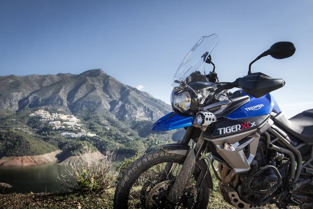 Triumph Tiger 800 Tiger 800 XCx (2015 - 17) (14)